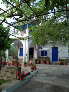 Alexandra Studios